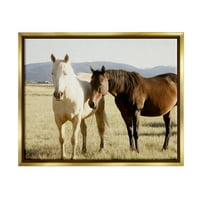 Stupell ruralni konji životinjska priroda Fotografije Životinje i insekti Fotografija Zlatno ploštenje