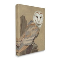 Stupell Industries Barn Owl Bird sede gledajući Divlje životinje slika slika Galerija umotano platno Print