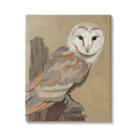 Stupell Industries Barn Owl Bird sede gledajući Divlje životinje slika slika Galerija umotano platno Print