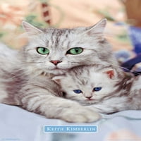 Keith Kimberlin - mama i zidni poster mačića, 22.375 34