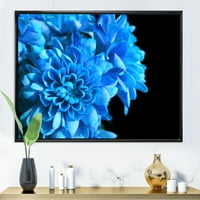 Detalj plavog cvijeća na crnoj pozadini I UKLJUČENO Fotografsko platno Art Print